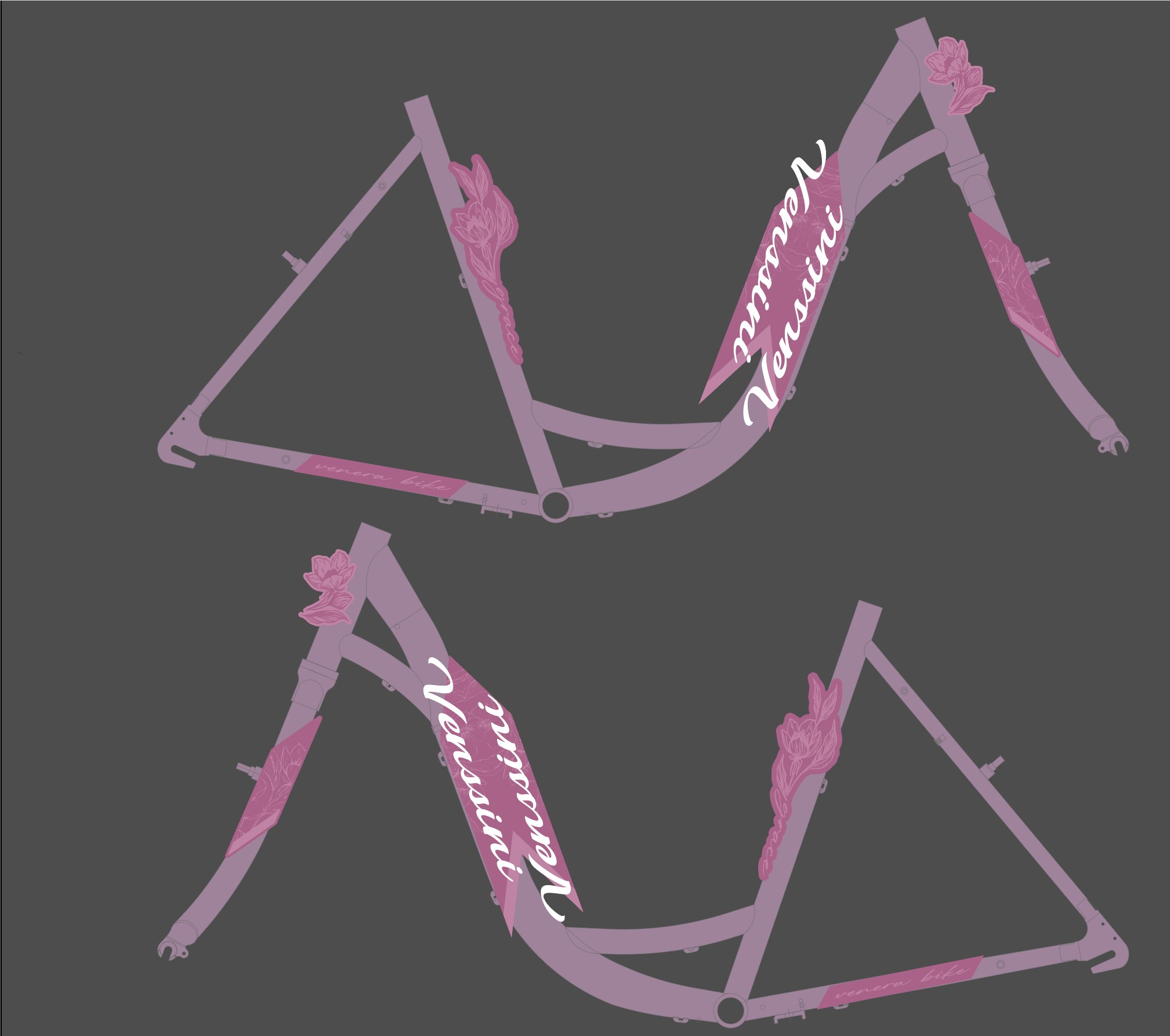 TOK4 28"/21"_3dizajn F.RAM CASSINI VENSSINI 2026@@